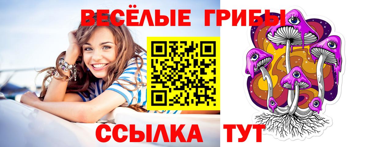 Псилоцибиновые грибы Cubensis Усть-Джегута
